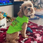 Green Halloween Dog Costume christmas Dog Shirt For Pets cats Dogs Christmas    