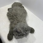 Ty Classic Smokey Cat 18  Plush Persian Grey Realistic Laying Flat 1999 Vintage 
