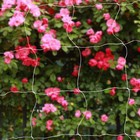 Heavy Duty Trellis Netting Roll 4ft    3280ft Soft Mesh Net Garden Plant Climbing