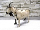 Rustic Small 6  X 8  Repurposed Scrap Metal Goat Statue Home Farm Garden