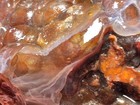 Imperial Old Stock Slaughter Mountain Az Fire Agate Rough Natural 135 Grams   A1