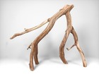 16  Manzanita Driftwood Branch  Reptile Habitat  Aquascaping Decor