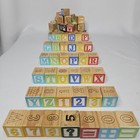65 Pc Wooden Alphabet Color Building Blocks Numbers Animals Plants Foods  1-1 8 