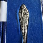 Rare Vintage Antique Silver Spoon   Birth Record  C Robathan   Son