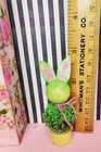 Miniature Dollhouse Furniture Biz Artisan Bunny Topiary 1 Inch Scale