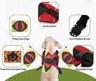 Sheripet Small Dog Protection Vest Anti Hawk Coyote With Flags Spikes New