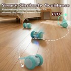Interactive Cat Toys  Automatic Moving Mouse Toy For Indoor Cats  Remote Control