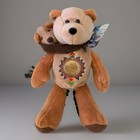 New Limited Treasures Sacagawea Dollar Coin Bear W tags Retired 2001 Authentic