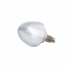 United Pacific 10889 Chrome Bullet License Plate Fastener Screws - Pack Of 4