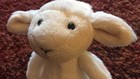 Jellycat Tiny Cream Sheep Plush 8  