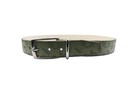 Wonder Nation Boys Size L Dino Belt Dinosaur All-over Print Non-leather     Green
