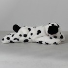 Ty Beanie Baby - Dotty Ii The Dog  30th Anniversary  Mwmt Stuffed Animal Toy