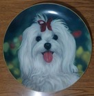 Perky Pal Maltese Dog Collector Plate  Danbury Mint Limited Edition Ec 