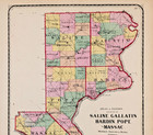 1871 Illinois Map Saline - Gallatin - Hardin - Pope - Massac - Original 16x13