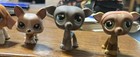 Littlest Pet Shop Lot Of 9 German Shepherds  Greyhound  Corgi  Other Dogs