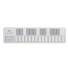 Korg Nanokey2 Usb Keyboard Controller White