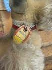Vintage Steiff Mohair Snobby Poodle Dog Jointed Stuffed Animal With Front Tag