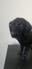  Vintage Fur Black Lab Dog Real Figurine Life Like Pets 11  L X 5 75 h Standing