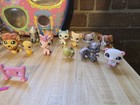 Lot Of 24 Littlest Pet Shop Lps Figures Vintage 2006-2007 W  Accessories   Case