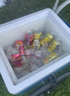 Vending Mobile Cart Popsicles Green Cart Frozen Treats Branding Catering Cart