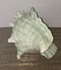 Large Vintage Atlantic Mold Ceramic Conch Sea Shell Planter Vase Beach Decor