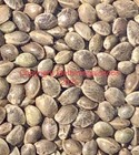 Whole Organic Raw Hemp Seeds 2 Ounces 60 Grams Best Quality 