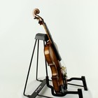 Stradivarius Copy 1 2 Size Violin