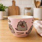 Enesco Pusheen The Cat Ramen Bowl And Chopsticks Set Nib