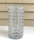 Glass Decorative Double Vase 8 Inch Tall X 4 Inch Wide  flowers Not Included 