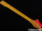 Fender Av Ii American Vintage 1972 Tele Thinline  Neck   Tuners  72 Mn Maple