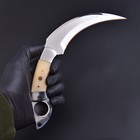 Handmade Fixed Blade Karambit Knife Tactical Claw With Belt Leather Sheath