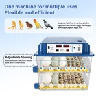 120 Eggs Incubator Automatic Digital Chicken Egg Hatcher Temperature Control