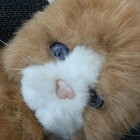 Applause Plush Cat Avanti Orange Tabby Blue Eye Kitty With Butterfly Vintage