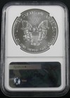 2017  p  Silver Eagle Struck At Philadelphia Mint Ngc Ms 70