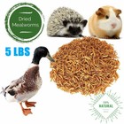 5lbs Dried Mealworms For Wild Birds Chickens Reptiles Fish Non-gmo Treats