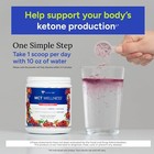 Gundry Md Mct Wellness Powder To Support Energy  Ketone Production And Brain Hea