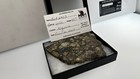 Nwa 15923 Meteorite Slice Eucrite Melt 2022 Algeria 43 6 Grams