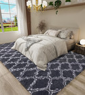 Luxury Shag Area Rug 2x3 Feet Geometric Plush Fluffy Rugs  Extra Soft Carpet Mor