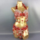 Sequins Beaded Samba Belly Dance Costume Carnival Edc Outfit Bra Belt 3 Colors