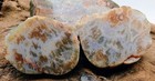 Lake Superior Agate Polished Pair-blue   Pink  Orange Pseudomorph   1 34oz 