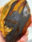 Oregon State Jasper Slab Cabbing Lapidary Carving Combo Ship Avail