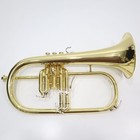 Yamaha Yfh-8310z Bb Flugelhorn Silver Plated Used Japan W case
