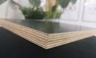 150 M2   48 X Formwork Panels   Concrete Slab 2 5 X 1 25 X 21  