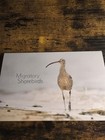 2019 Australia Post Migratory Shorebirds Stamp Pack   Minisheet
