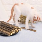 15 Pcs Catnip Sticks Organic Cat Chew Toys Natural Plant Matatabi Silvervine