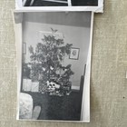 Vintage 1950 s Mid Century Christmas Snapshots B w Lot Of 7