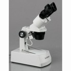 Amscope 20x-40x Binocular Stereo Microscope With 2 Halogen Lights