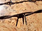 Original Wwii Ww2 German Barbed Wire Collection Barb Militaria Antique Set Old