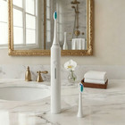 Electric Sonic Toothbrush 5 Modes 8 Heads Ipx7 Waterproof Travel Size