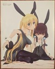 Double Sided Anime Poster  New Game  Blend S